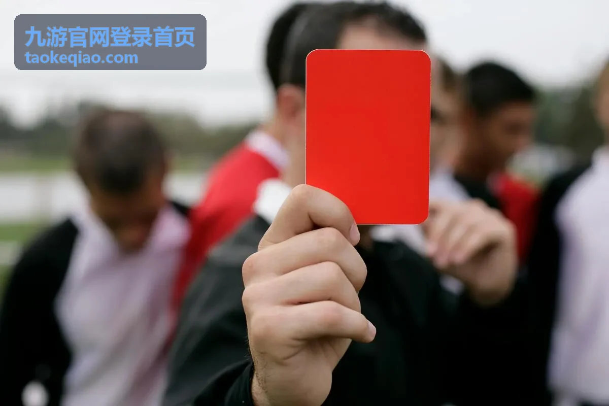 九游官网登录首页登录后账号状态检查界面