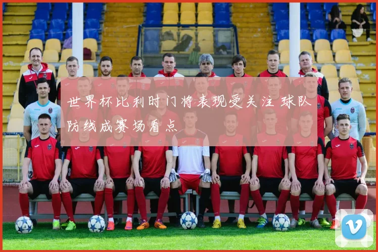 世界杯比利时门将表现受关注 球队防线成赛场看点