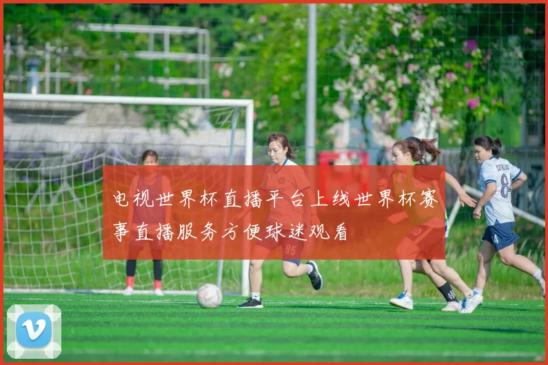 电视世界杯直播平台上线世界杯赛事直播服务方便球迷观看