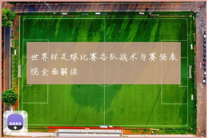 世界杯足球比赛各队战术与赛场表现全面解读