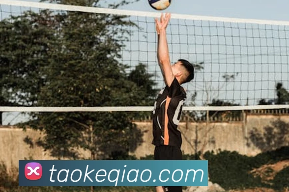 米兰官网入口APP 封面图